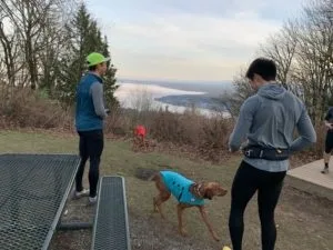Read more about the article Top 12 Trail Runs within 30 Minutes of Seattle
