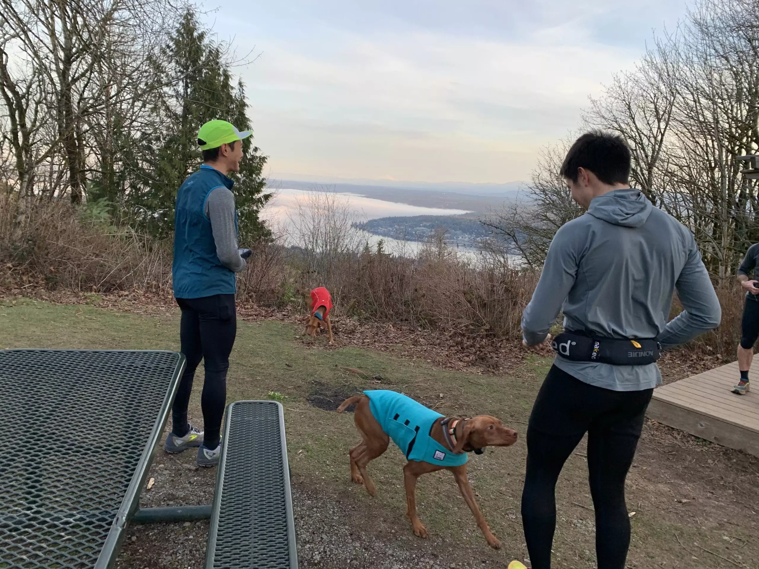 Top 12 Trail Runs within 30 Minutes of Seattle - TheStringbean