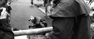 Read more about the article La Barkley Sans Piti&eacute;