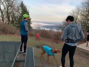Read more about the article Top 12 Trail Runs within 30 Minutes of Seattle